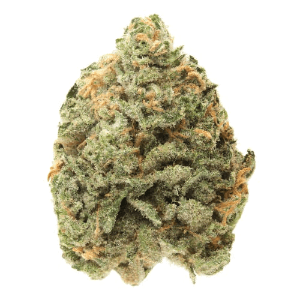 blue dream easy strain to grow