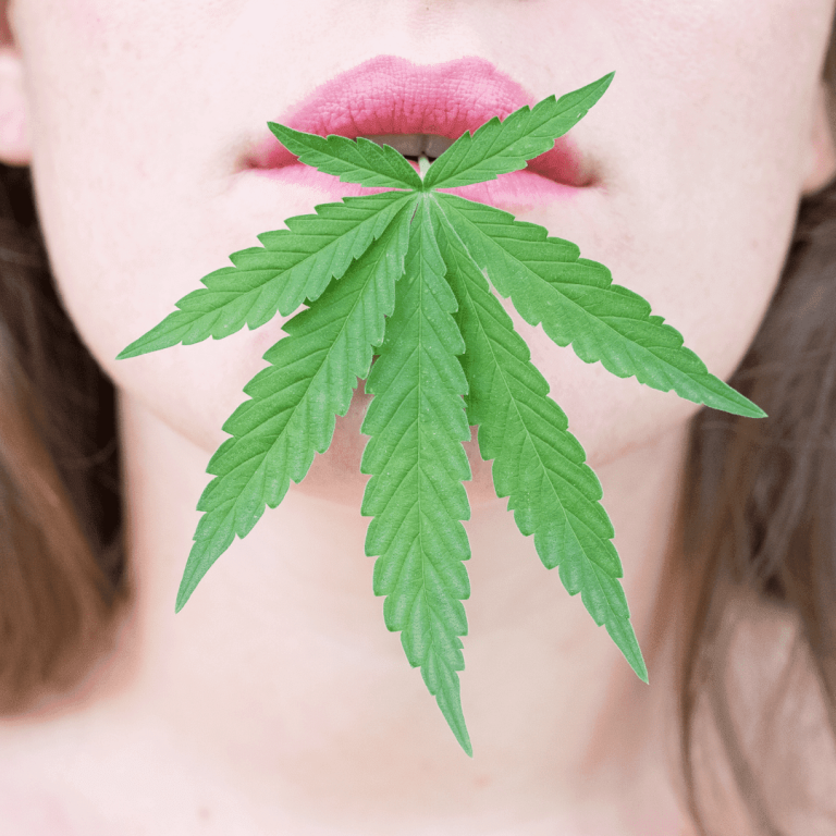 eating cannabis leaves