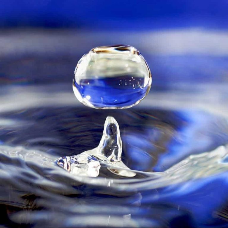 water for cannabis