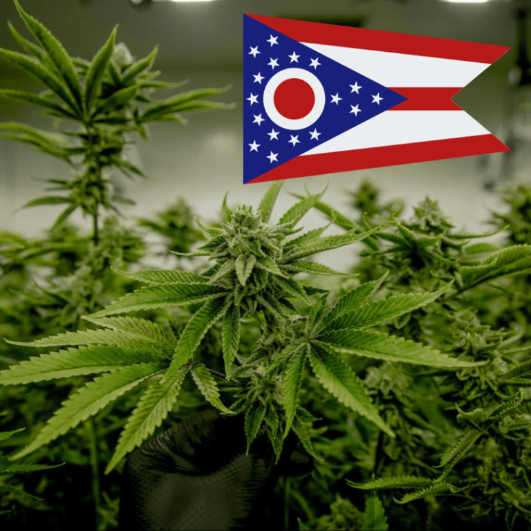 Ohio cannabis