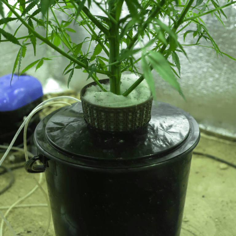 Hydro bucket