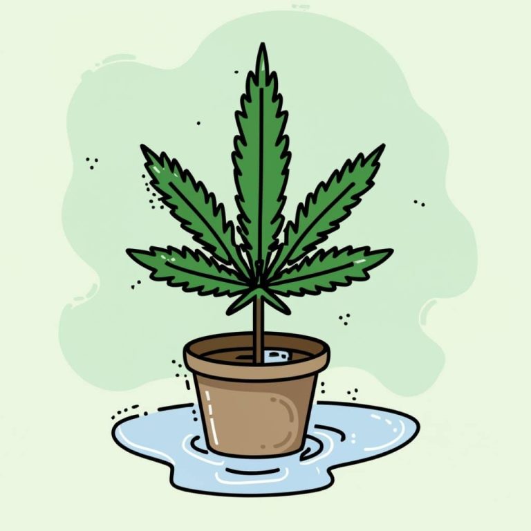 cannabis soil runoff