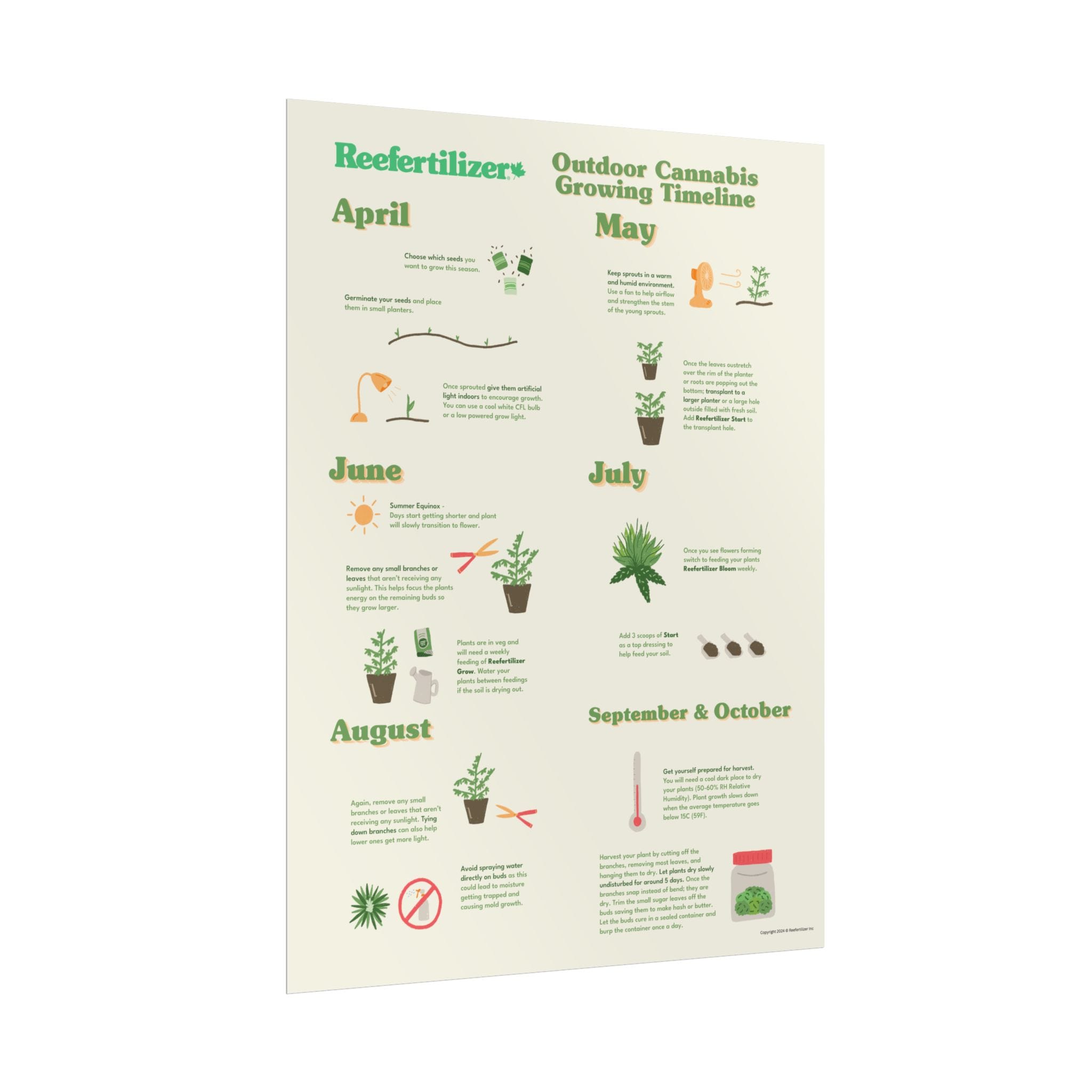 Outdoor Cannabis Growing Timeline Poster - Image 3