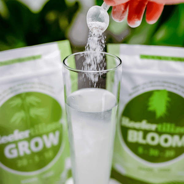 Reefertilizer® Grow & Bloom Cannabis Nutrients for Veg & Flower - Image 4