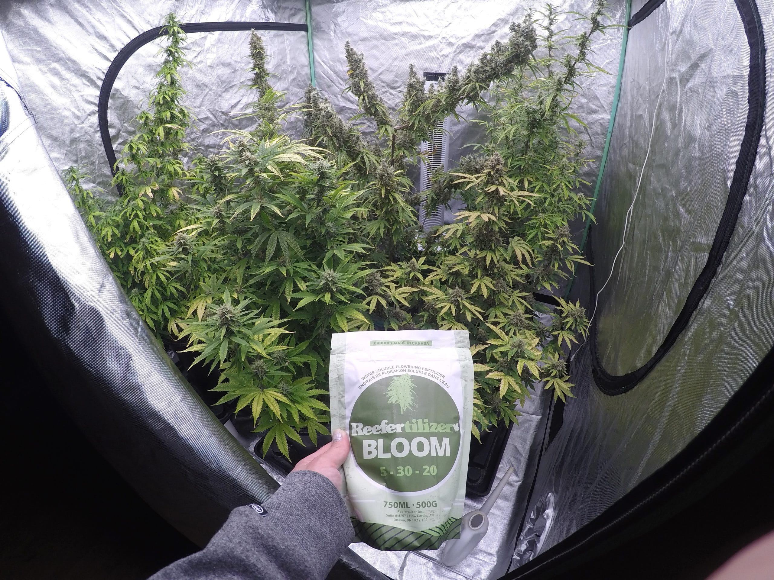 Reefertilizer® Bloom Flowering Nutrients for Cannabis - Image 3